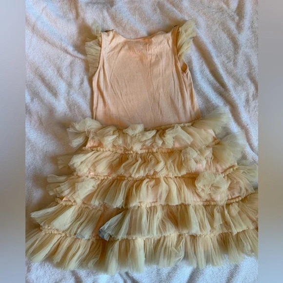Tutu Du Monde Gold Sequin, Cream Tulle Pink Dress